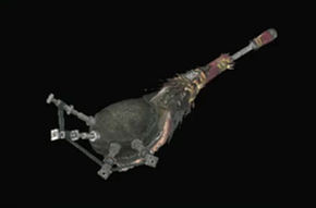 蛮顎笛フラムコルヌ改の画像