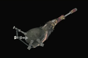 蛮炎笛ロギンコルヌの画像