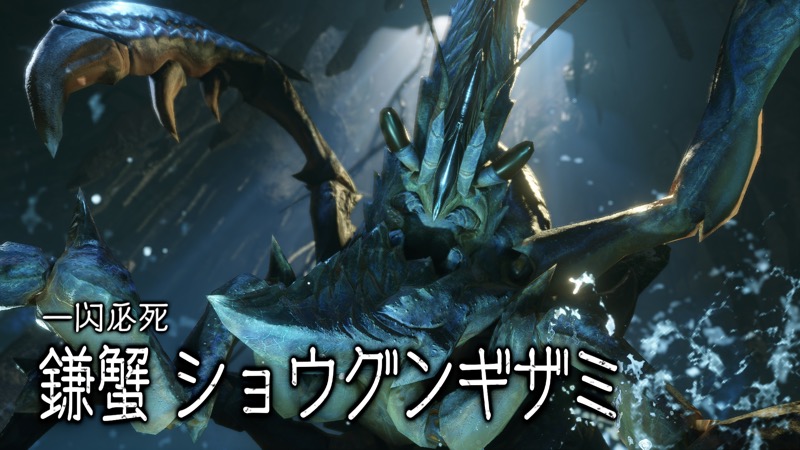 ショウグンギザミ