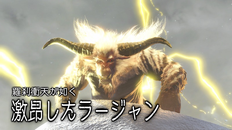 激昂ラージャン