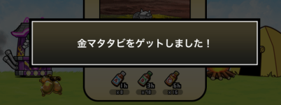 金マタタビ入手