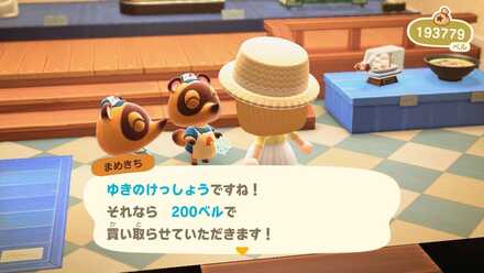 ゆきのけっしょう