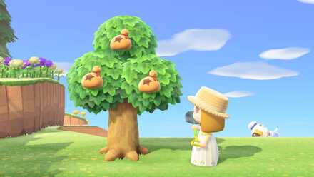 金のなる木の作り方画像