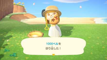 金のなる木の作り方画像