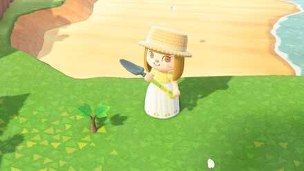 金のなる木の作り方画像