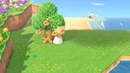 金のなる木の作り方画像