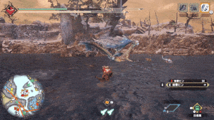 イソネミクニ亜種の大技