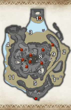 密林のキノコの群生地上層