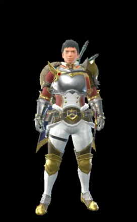 王国軽装騎士シリーズ画像