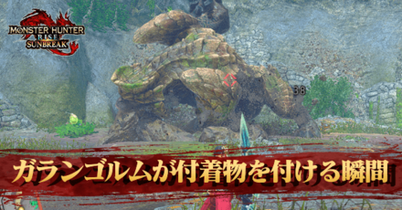 ガランゴルムが付着物を付ける瞬間を撮影の達成方法