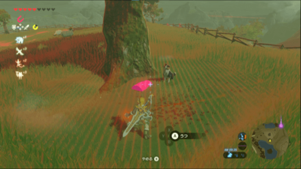 犬を懐かせて宝箱を入手できる