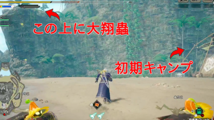 密林初期キャンプ大翔蟲