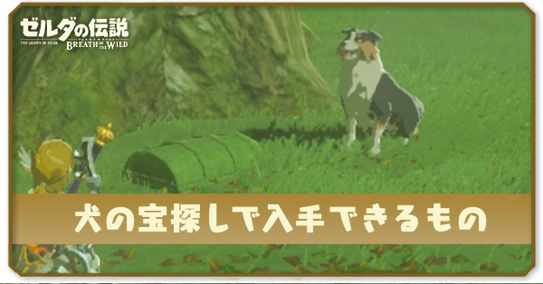 犬の宝探しで入手できるもの