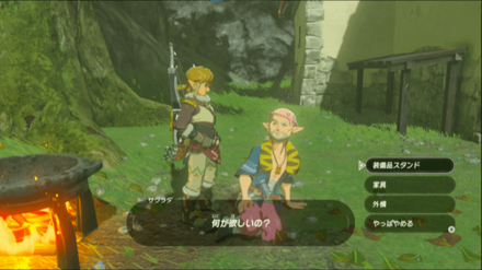 購入後は追加料金を払って家の拡張ができる