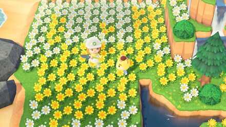 光る地面の固定化