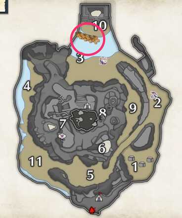 ツラヌキイカの密林