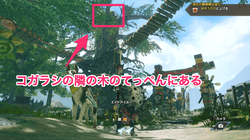 フクズクの巣の場所