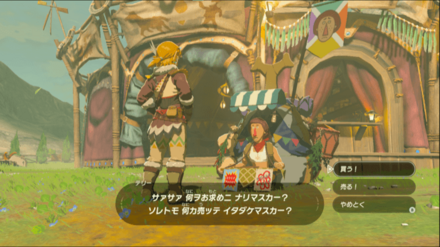 テリーから買い物ができる