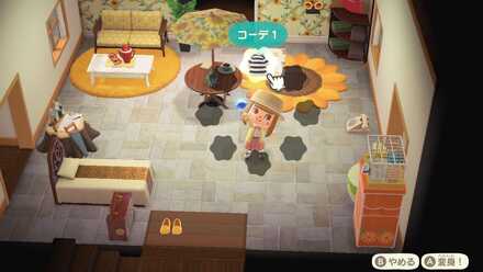 ステッキの使い方