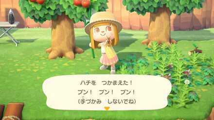 ハチを捕まえてしまう