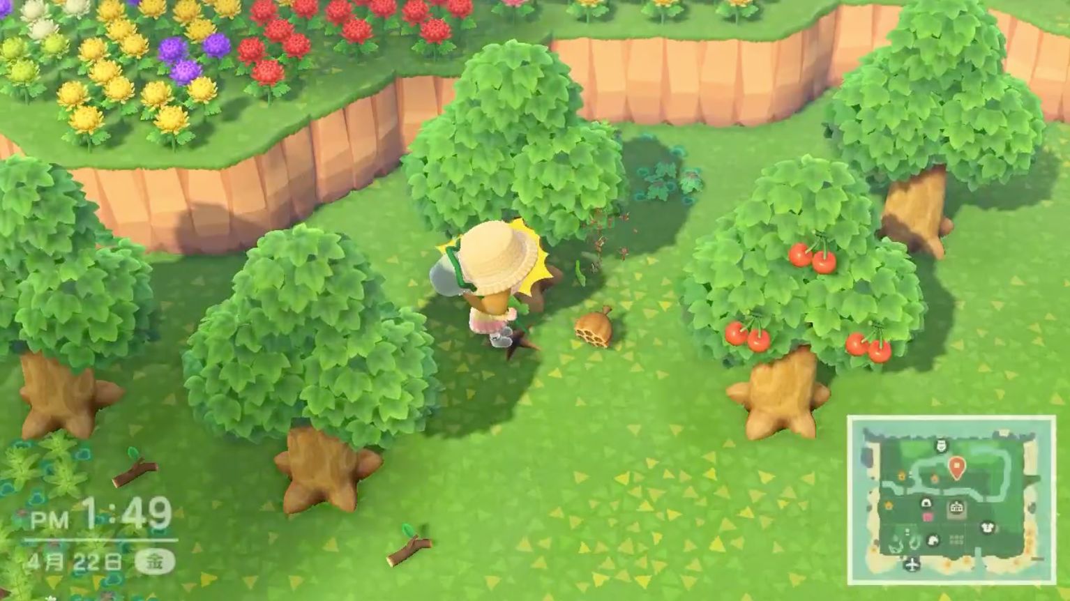 蜂の巣が落下する