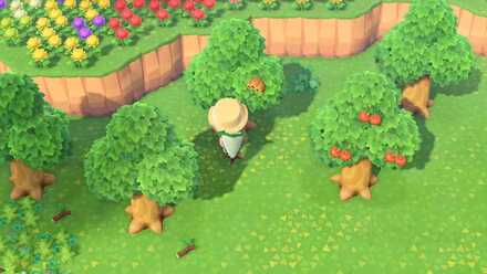 アミを持った状態で木をゆする