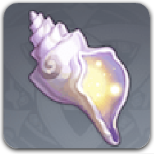 置き間違えられたホラガイ