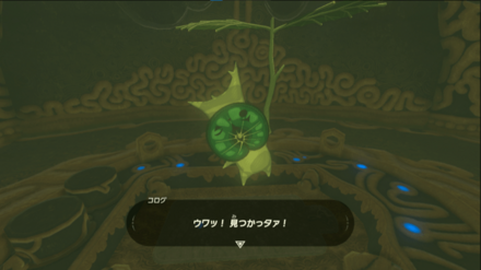 コログのミを全て集める