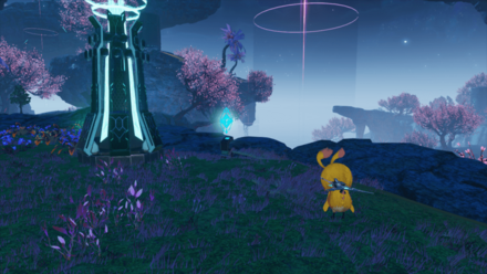 南エアリオのフィールドレース