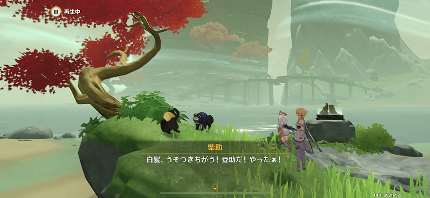 盆景の元へ戻り