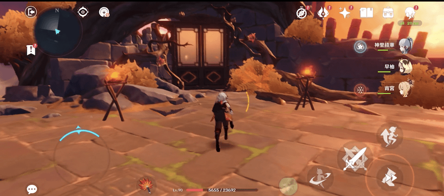 ピンクの鶴を追いかける