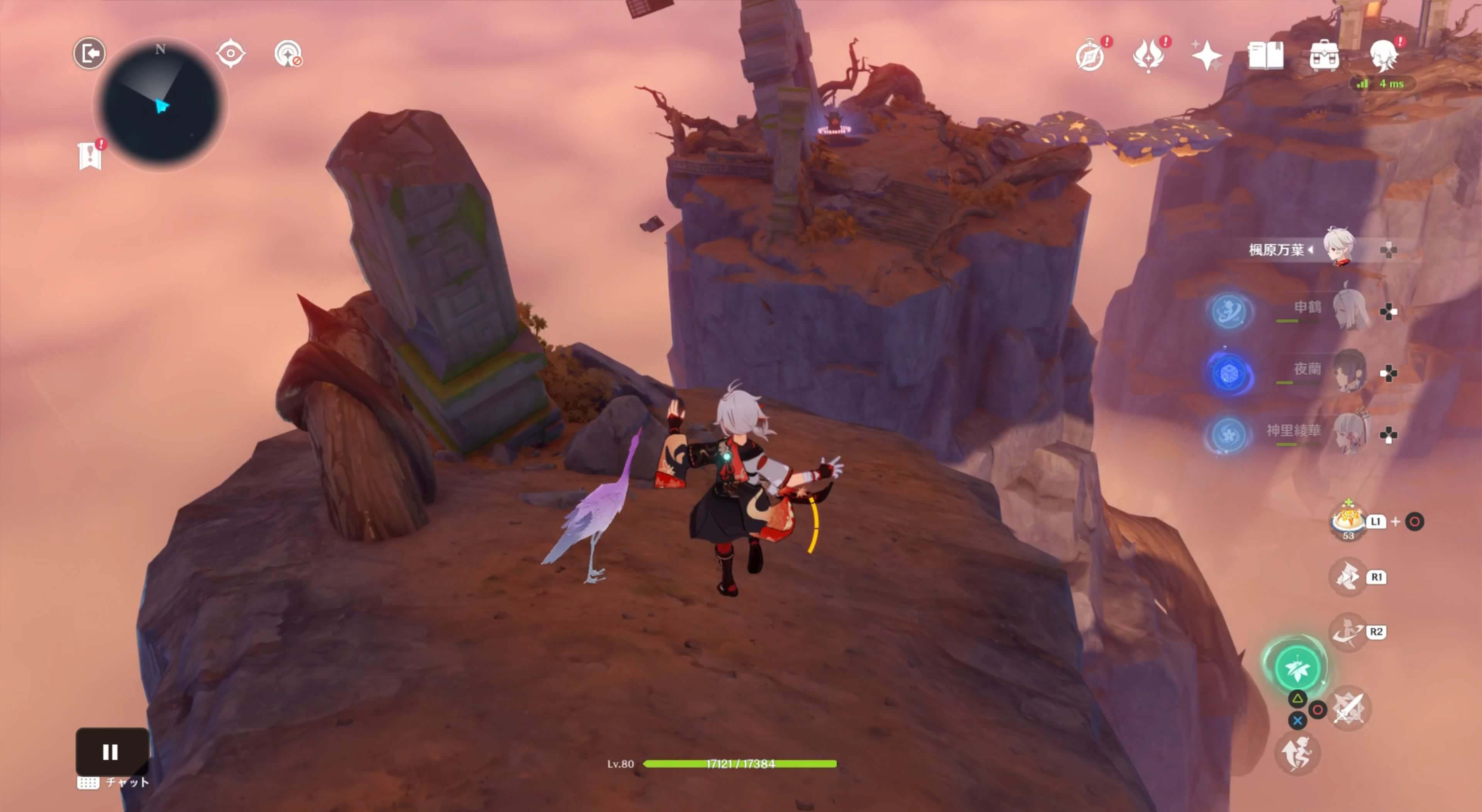 鶴を追いかける