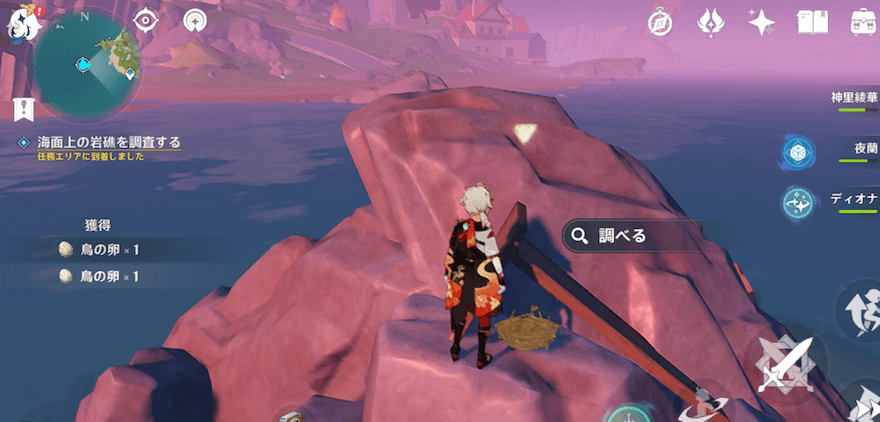 フタフタ島南西部にある岩礁上、鳥の巣を調べる