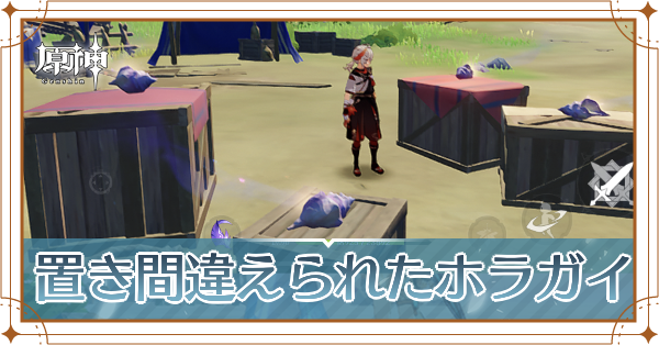 置き間違えられたホラガイ