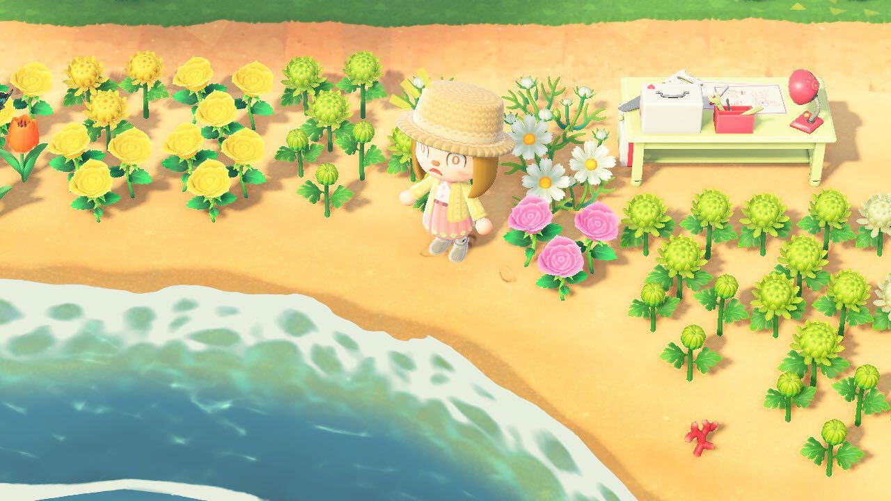 メッセージボトル