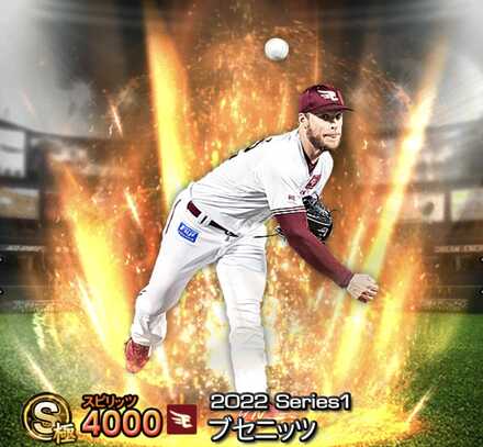 ブセニッツ画像