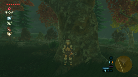 屋根のある場所に避難する