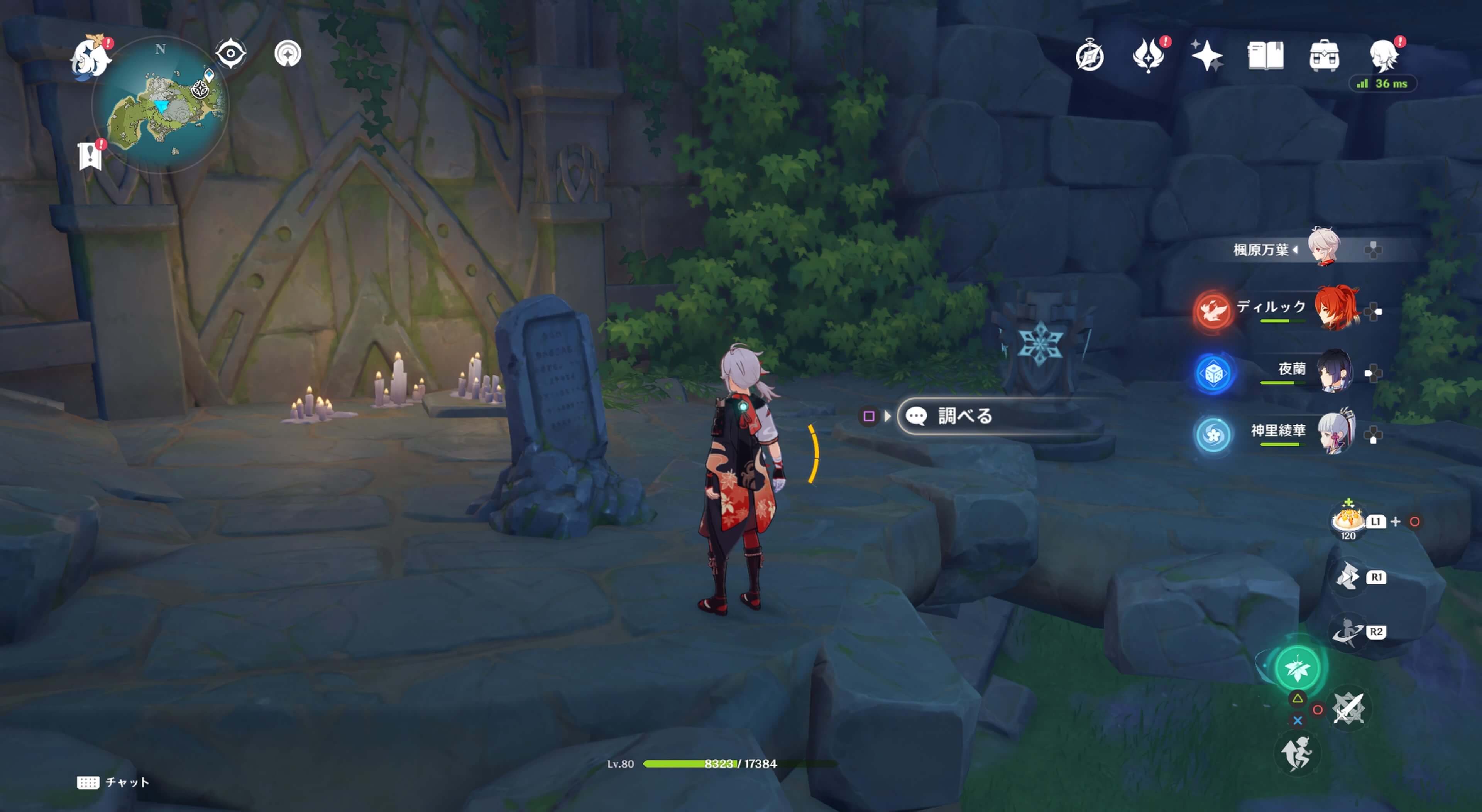 古い石碑を確認する