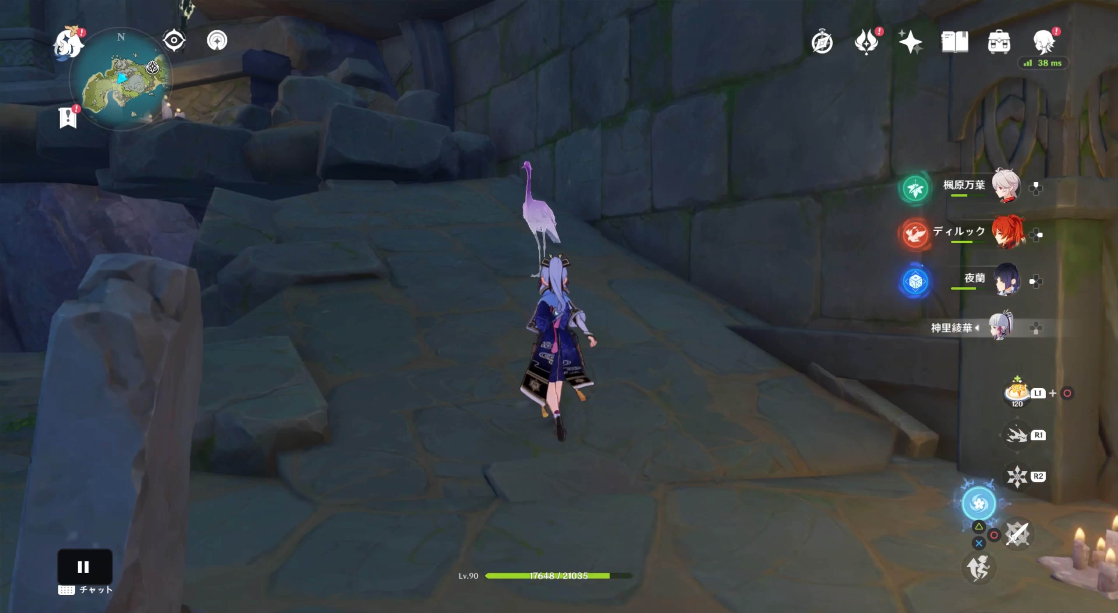 夢形のツルが出現する