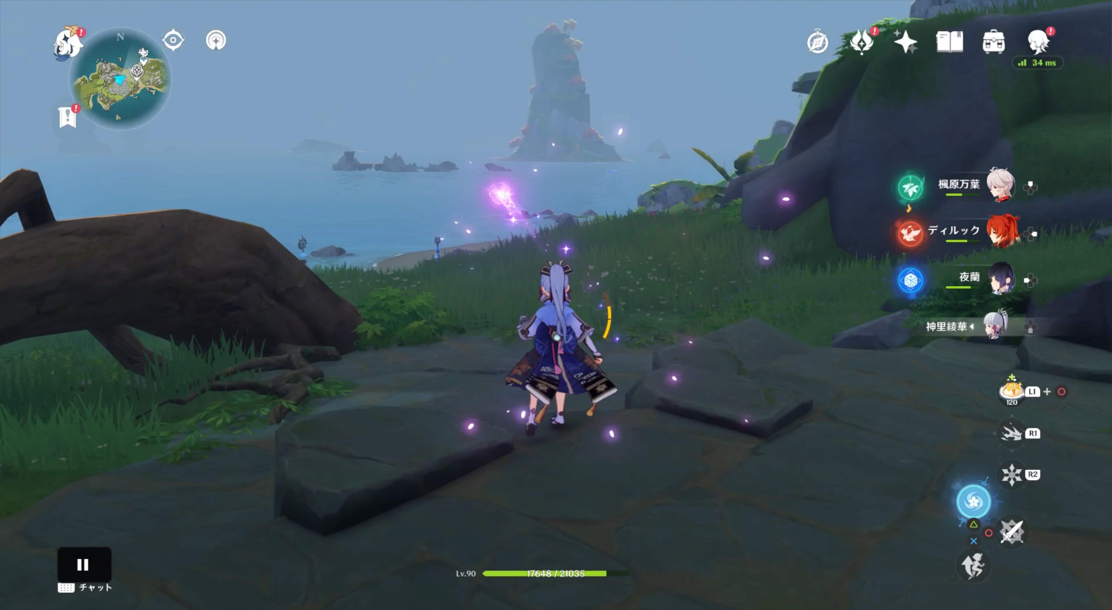 ツルに近づくと移動するため追いかける