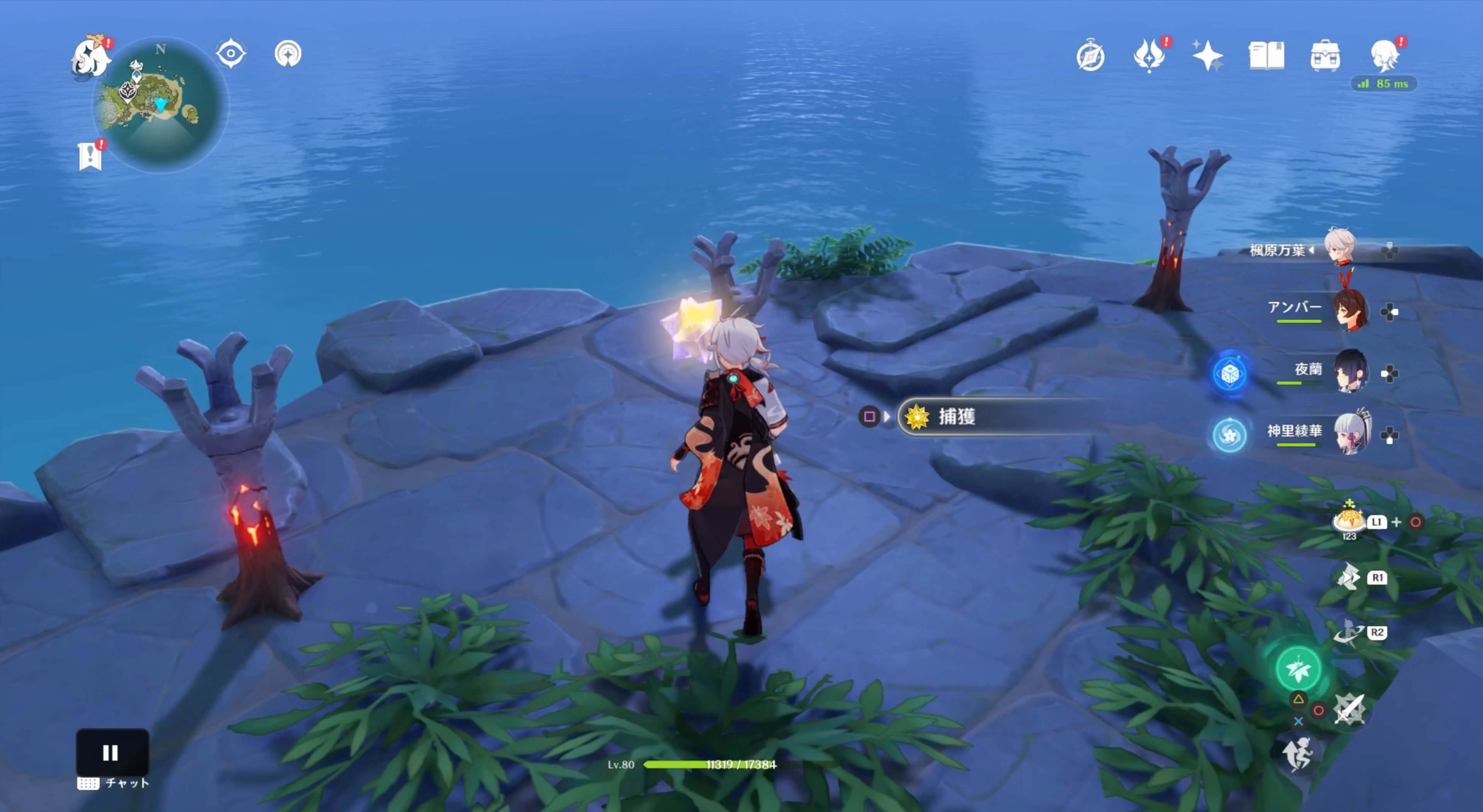 松明ギミックの前で止まるため入手する