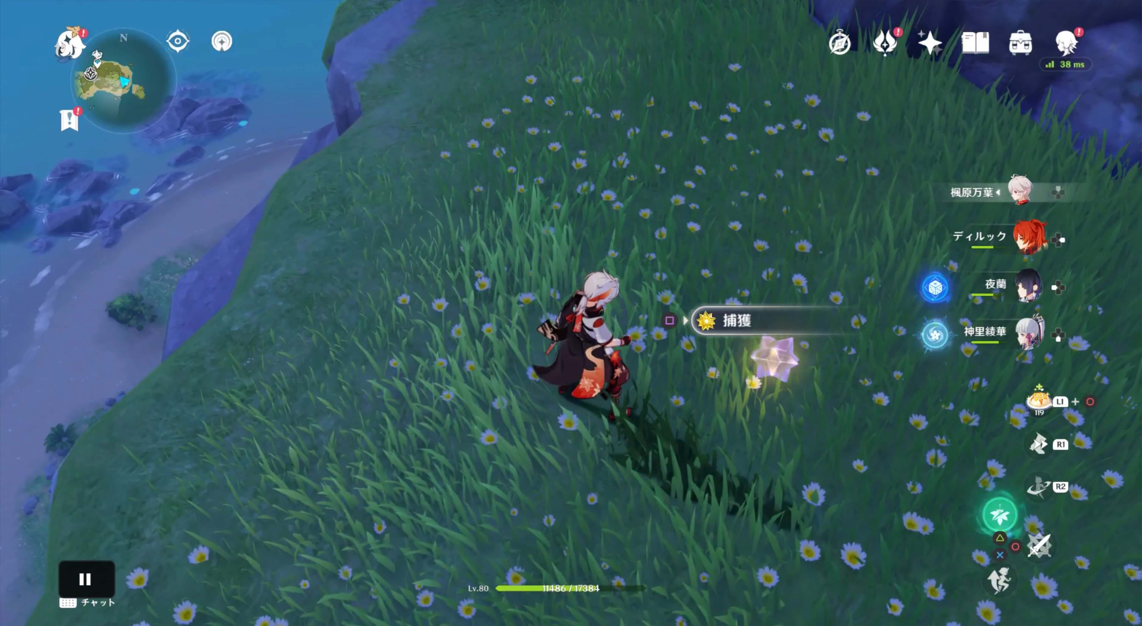 山を登った先にいるので入手する