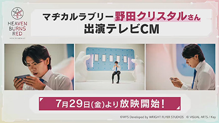 ハーフアニバーサリー情報