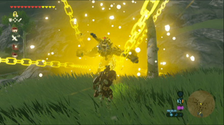 強化したビタロック＋で動きを止める