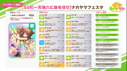 SSRナカヤマフェスタ