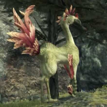 グロウ・カミル画像