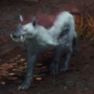 レッサ・ヴォルフ画像