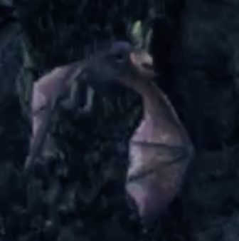 シャドウ・ヴァンプ画像