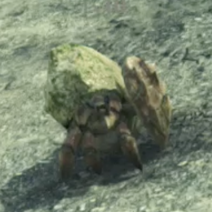 ソリッド・クライブ画像