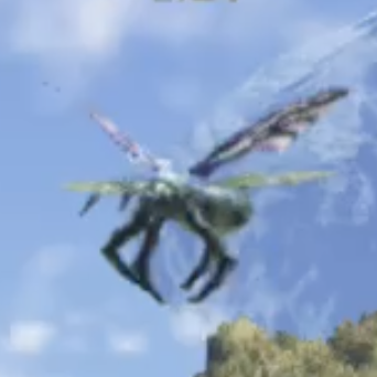 アミテ・スキート画像